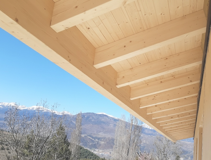 gestion de proyectos